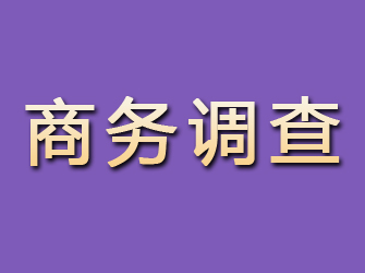 阿图什商务调查